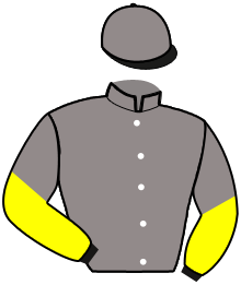 Casaque n°3