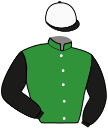 Casaque n°4