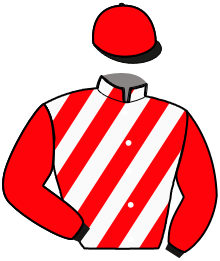 Casaque n°11
