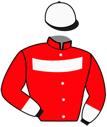 Casaque n°2