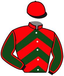 Casaque n°3
