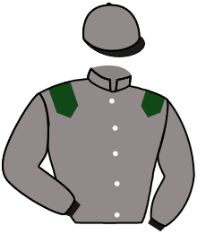Casaque n°3