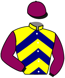 Casaque n°2