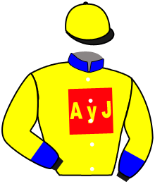 Casaque n°10