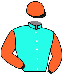 Casaque n°6