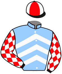 Casaque n°2