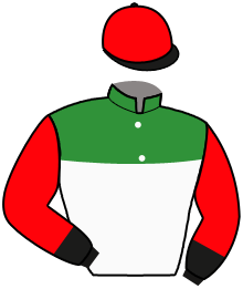 Casaque n°11