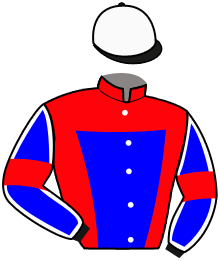 Casaque n°2
