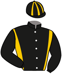 Casaque n°8