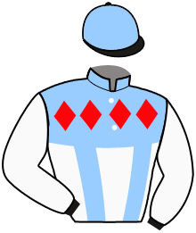 Casaque n°3