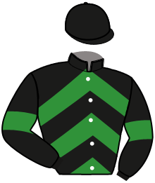 Casaque n°11