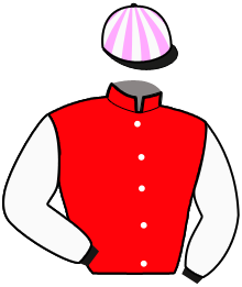 Casaque n°12