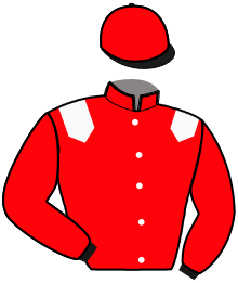 Casaque n°6
