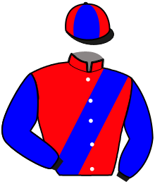 Casaque n°10