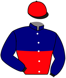 Casaque n°3