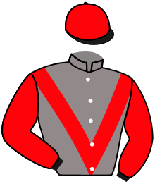 Casaque n°1