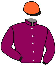 Casaque n°6