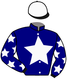 Casaque n°2