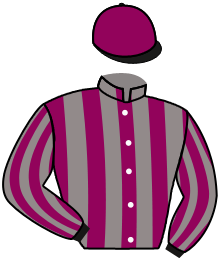 Casaque n°1