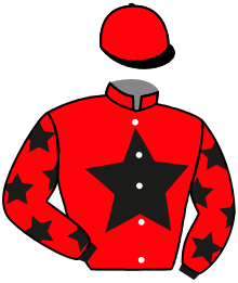 Casaque n°2