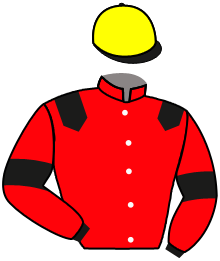 Casaque n°4