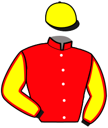 Casaque n°11
