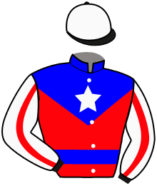 Casaque n°10