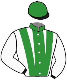 Casaque n°11