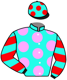 Casaque n°8