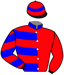 Casaque n°3