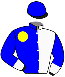 Casaque n°2