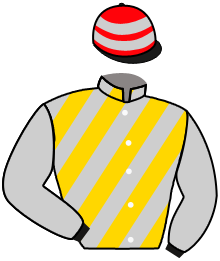 Casaque n°8