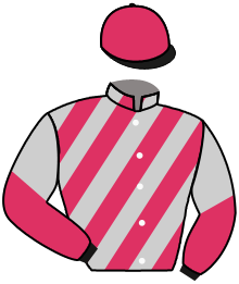 Casaque n°2