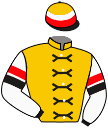 Casaque n°10