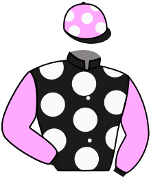 Casaque n°2