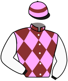 Casaque n°8