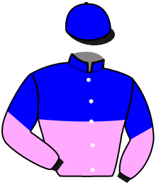 Casaque n°10