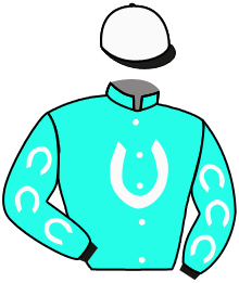 Casaque n°4