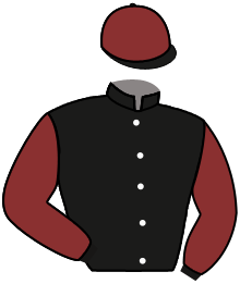Casaque n°2
