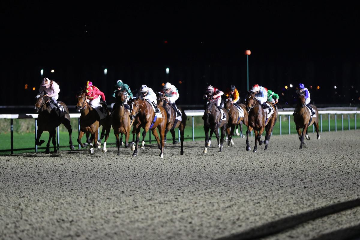 Pronostic Et Statistique Des Courses De Chevaux Le Quinté+ du vendredi 27 janvier vu par les statistiques | Equidia