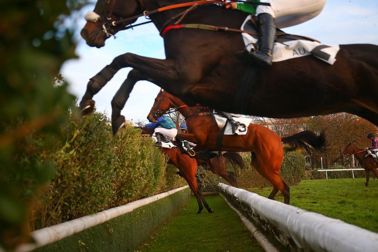 Pronostic Et Statistique Des Courses De Chevaux Le Quinté+ du samedi 4 juin vu par les statistiques | Equidia