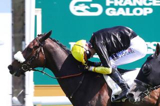 Premier Quinté+ pour Plain Beau ce lundi à ParisLongchamp