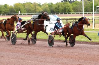 Grand National du Trot : Igrec de Celland VS Ibiki de Houelle : un match à deux