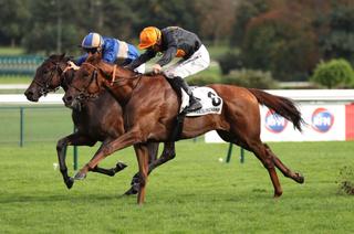 Lord Sinclair, la base solide du Quinté+ du samedi 9 août à Deauville