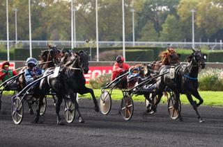 Le Quinté+ du vendredi 19 septembre à Vincennes vu par les statistiques