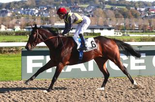 Siam Paragon, la base solide du Quinté+ du dimanche 2 novembre