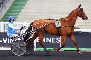 Quinté+ du vendredi 19 septembre à Vincennes : Cool Kronos peut créer une surprise