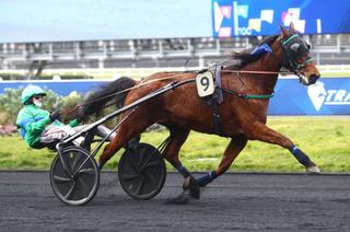 Gamin des Isles, la base solide de ce vendredi 21 mars à Vincennes