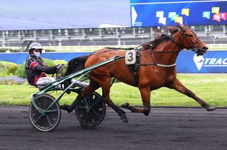 Quinté+ du vendredi 4 juillet à Cabourg : Carl Halbak vise la passe de trois