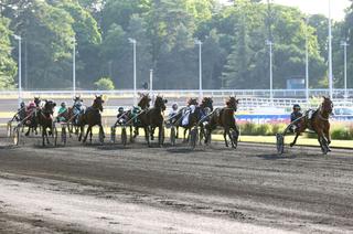 Quinté+ du samedi 19 juillet à Enghien : Analyse et décryptage de la course de réf